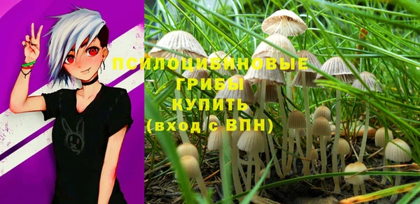 метадон Балабаново