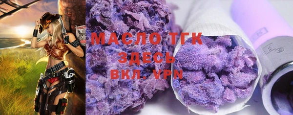 индика Струнино