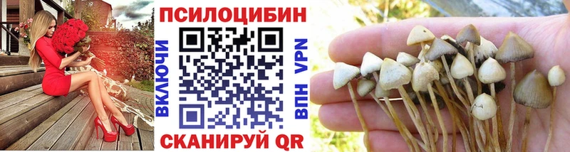 Псилоцибиновые грибы мицелий  Верещагино 